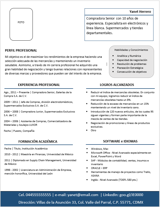 plantilla de curriculum vitae combinado o mixto