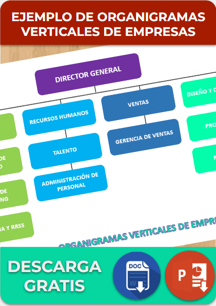 Organigramas Verticales De Empresas Ejemplos Formatos Word Excel