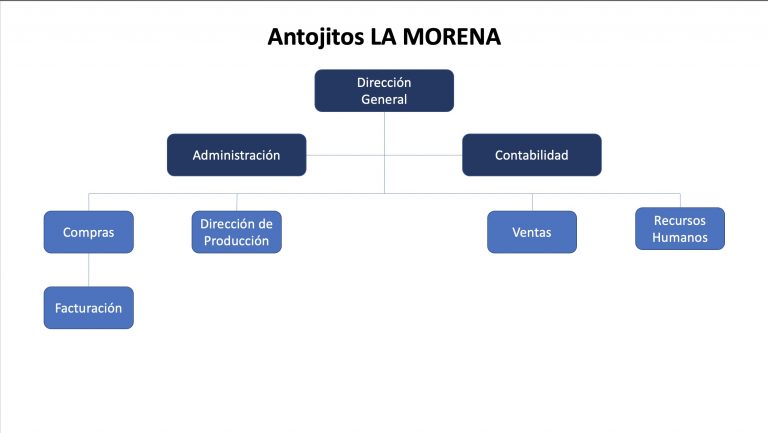 Organigramas Verticales De Empresas Ejemplos Formatos Word Excel