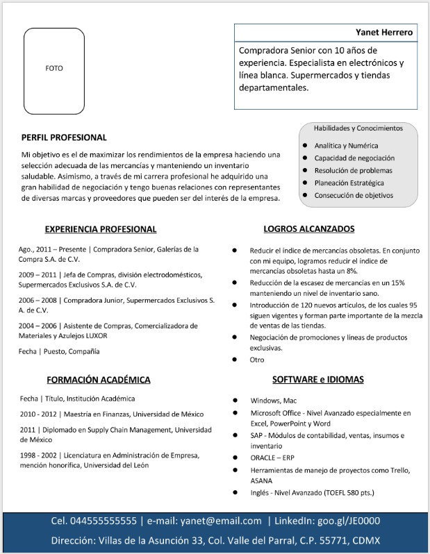 Formato Modelo De Curriculum Vitae En Word Para Editar