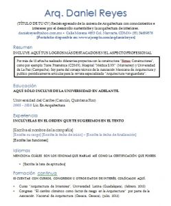 Ejemplos De Curriculum Vitae Hechos