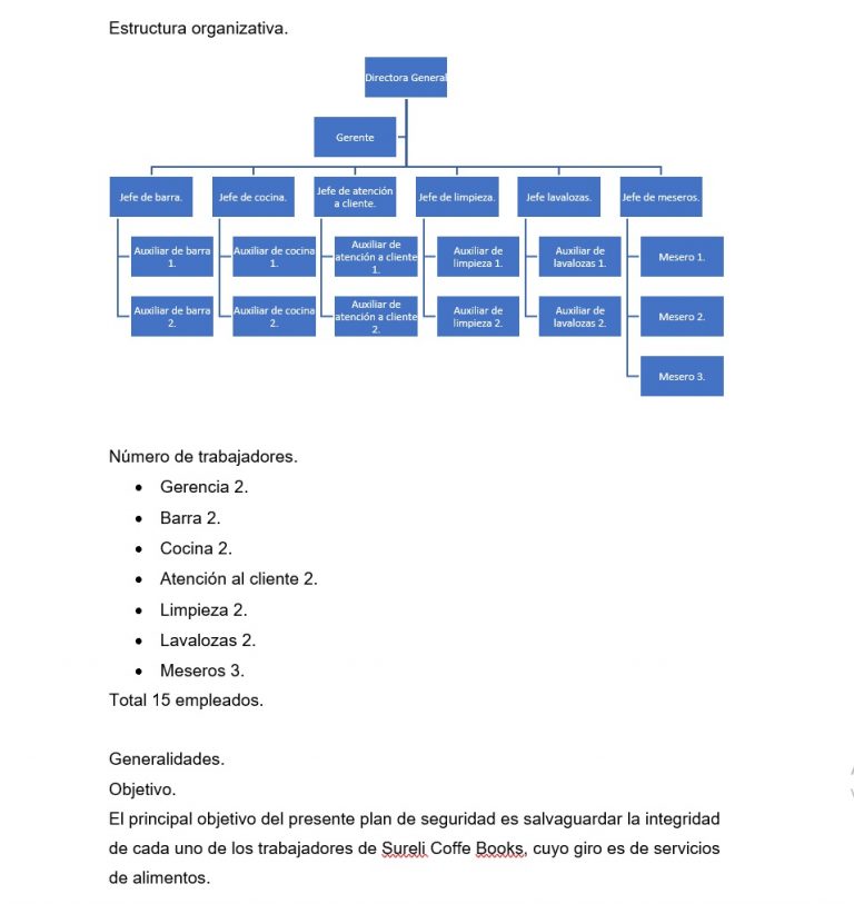 Plan De Seguridad Ejemplos Formatos Word Excel 6283