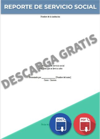 Reporte de Servicio Social