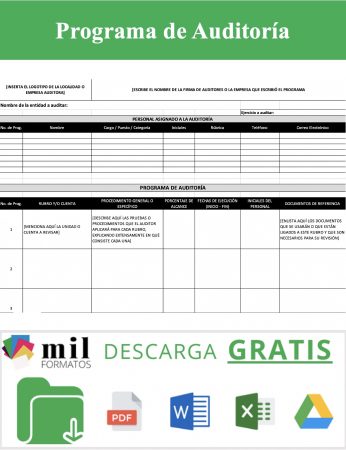 Programa de Auditoría