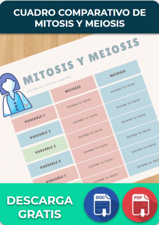 Cuadro Comparativo de Mitosis y Meiosis