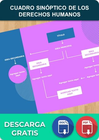 Cuadro sinóptico de los Derechos Humanos