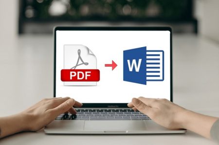 Cómo Convertir un PDF a Word