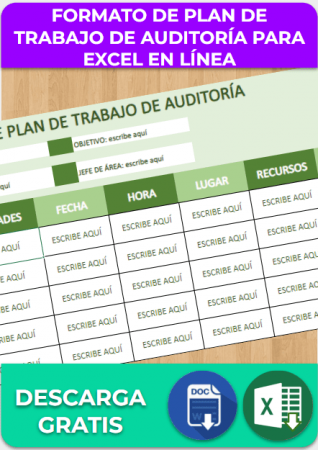 formato de plan de trabajo de auditoría para Excel en Línea