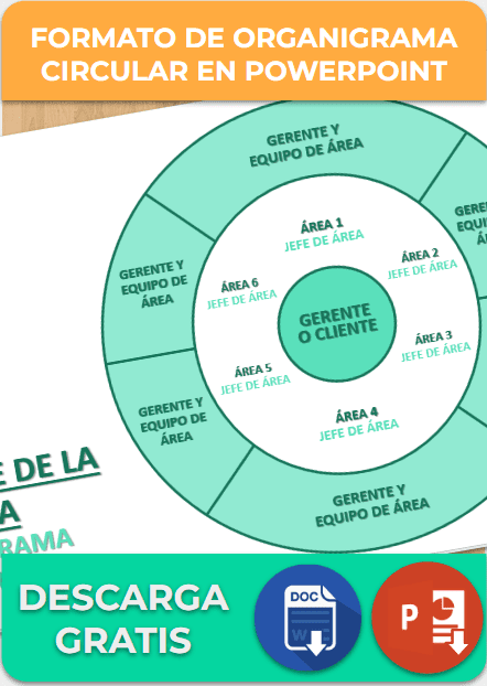 Formato de organigrama circular en PowerPoint
