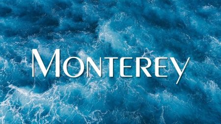 Monterey - Letra para Word moderna