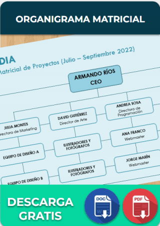 Organigrama Matricial Organigrama Matricial