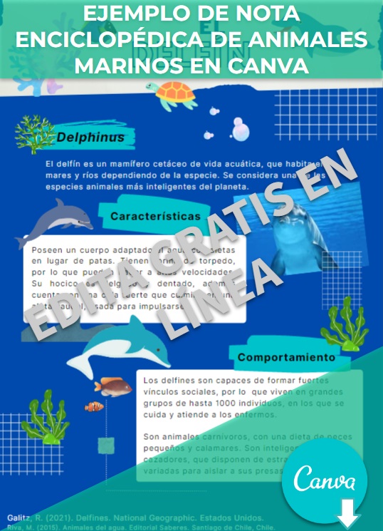 Ejemplo de nota enciclopédica de animales marinos en Canva