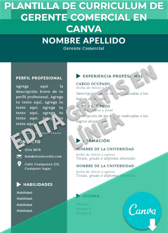 imagen de Plantilla de curriculum de gerente comercial en Canva