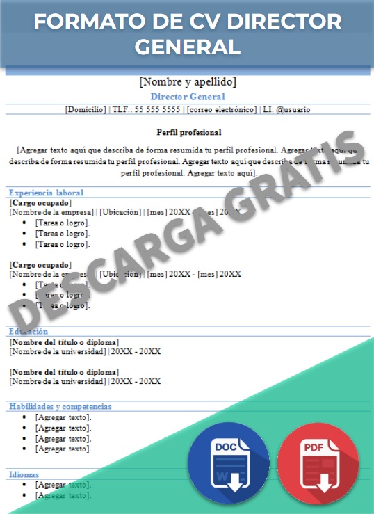 imagen de Formato de CV Director general en Word