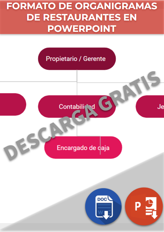 Organigramas De Restaurantes Ejemplos, Formatos Word, Excel