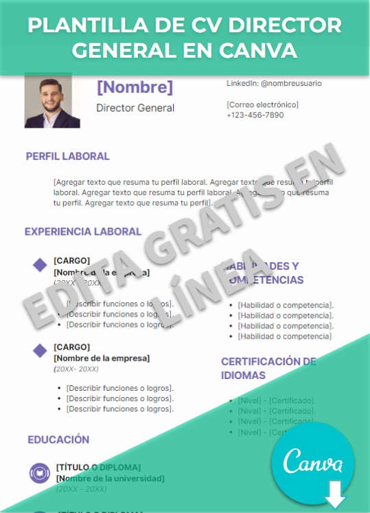 imagen de Plantilla de CV Director general en Canva