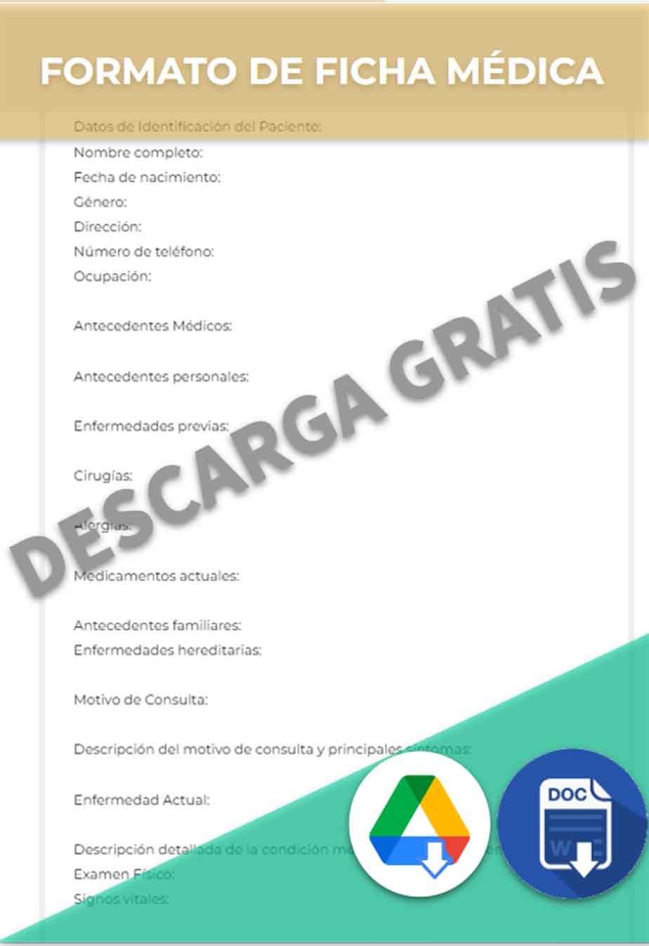 imagen de Formato de Historia Clínica en Google Docs